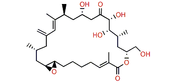 Amphidinolide H4